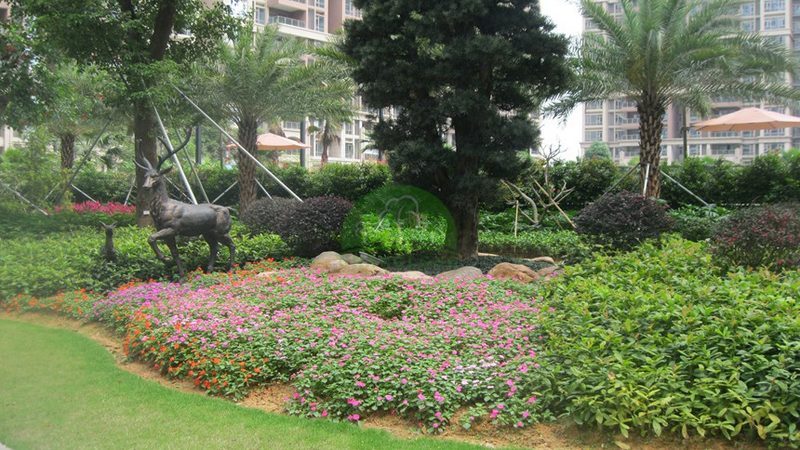草坪打孔机租赁价格，到底差在哪