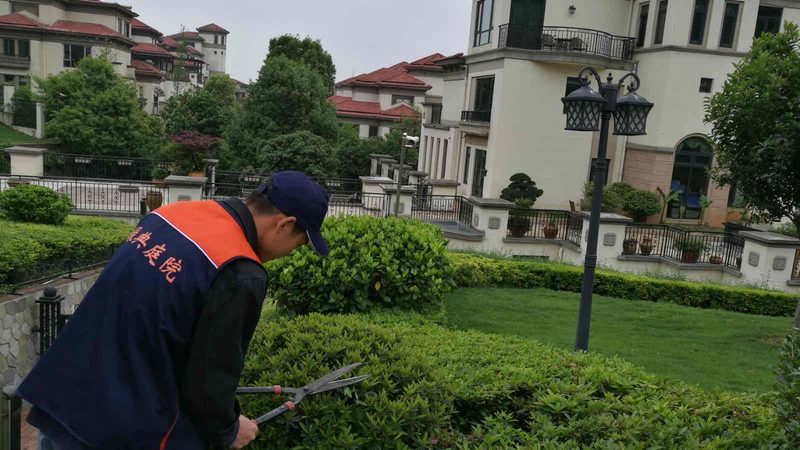 边坡绿化喷播植草，价格走势如何解读？**