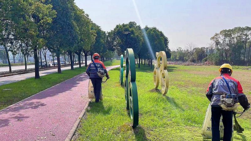 老旧小区绿化改造：养护方案全解析