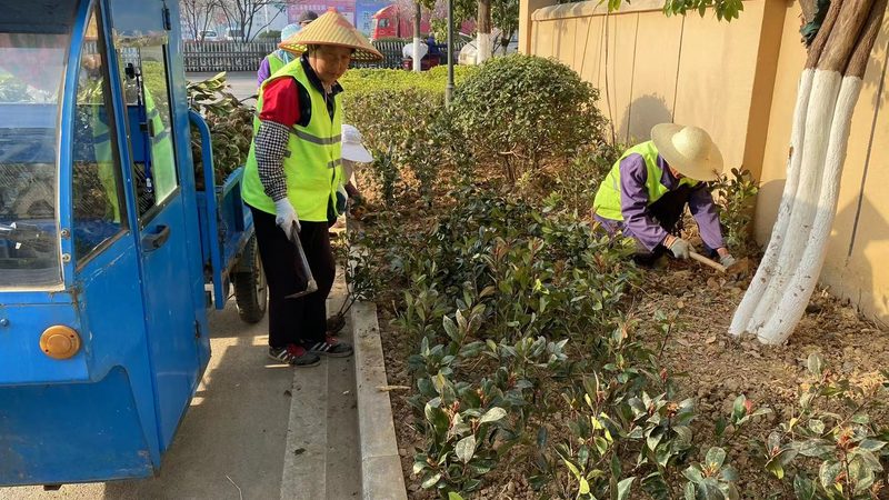 边坡绿化客土喷播：技术解析与选择要点**