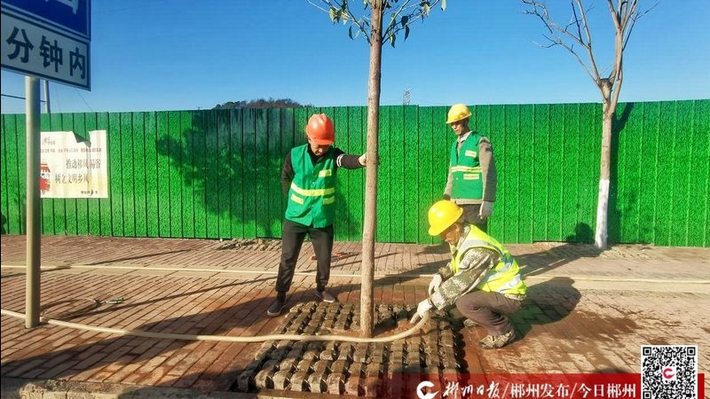 屋顶绿化基质铺设，这些施工方法才靠谱