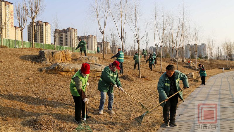 高速公路边坡绿化预算报价解析：关键因素与合理评估**