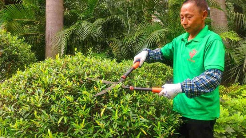立体绿化工程承包报价：揭秘成本构成与优化策略**