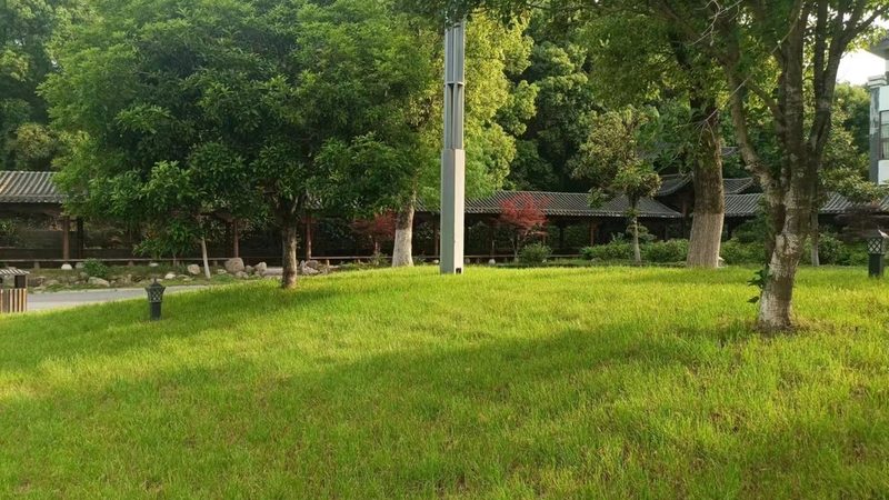 绿植租赁报价差异背后藏着什么